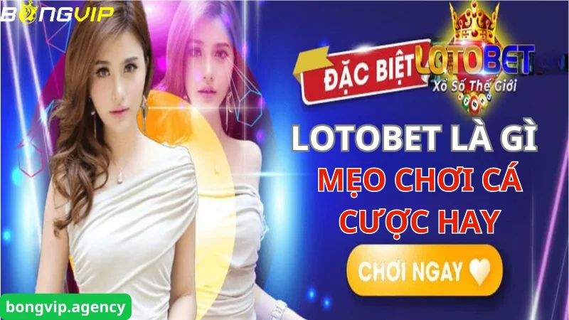 Lotobet là gì? Cách chơi Lotobet ăn tiền tại nhà cái Bongvip