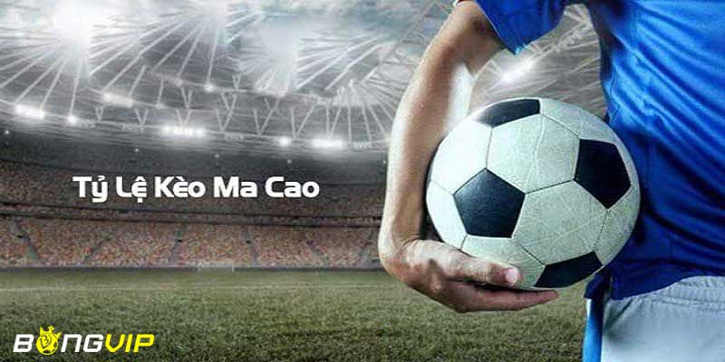 Kinh nghiệm soi kèo macao để đạt hiệu quả cao