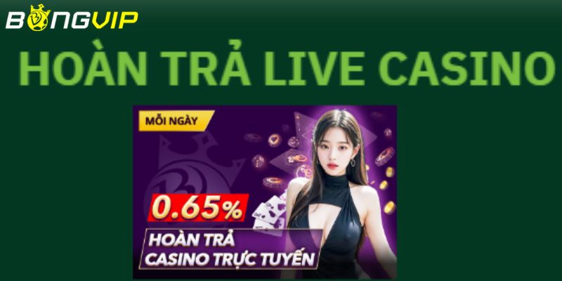 Giới thiệu về chương trình hoàn trả casino trực tuyến