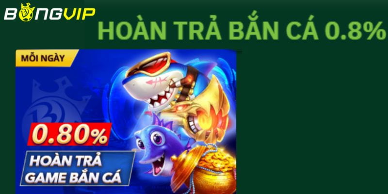 Tổng quan về chương trình hoàn trả game bắn cá