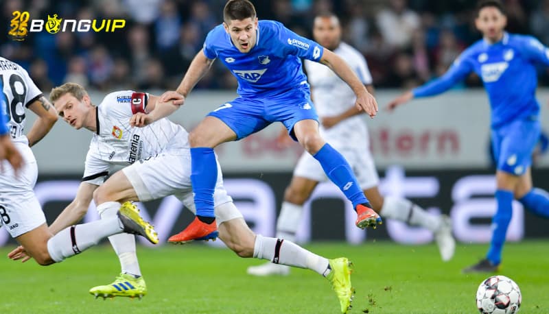 Hoffenheim ở soi kèo Hoffenheim vs Eintracht Frankfurt