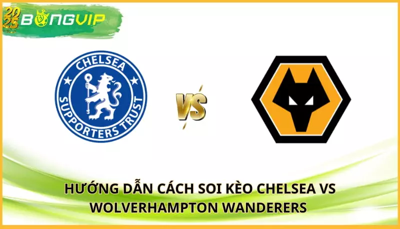 soi kèo Chelsea vs Wolverhampton Wanderers