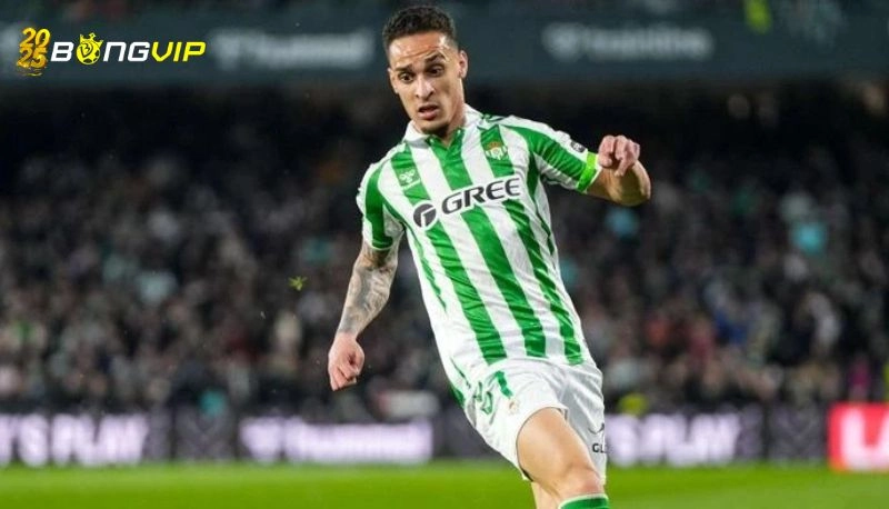 Sự đón nhận từ người hâm mộ Real Betis