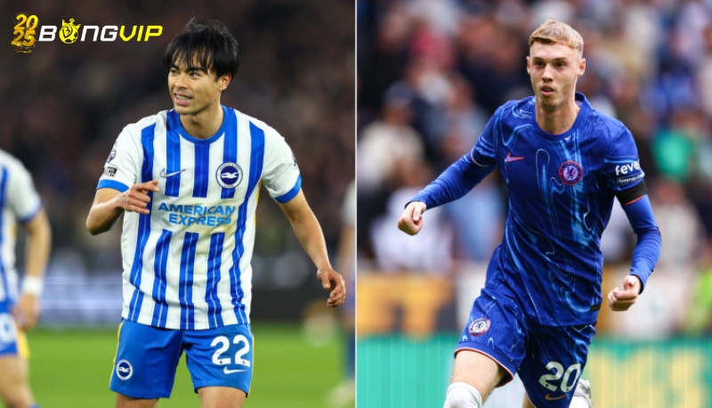 Dự đoán soi kèo Brighton & Hove Albion vs Chelsea 