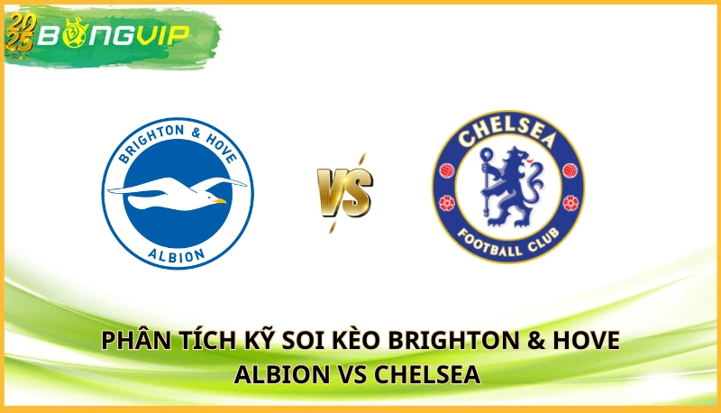 soi kèo Brighton & Hove Albion vs Chelsea