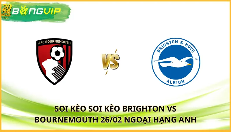 soi kèo Brighton vs Bournemouth