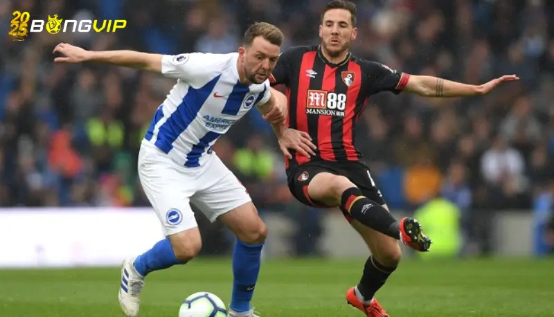 Phong độ Brighton tại soi kèo Brighton vs Bournemouth