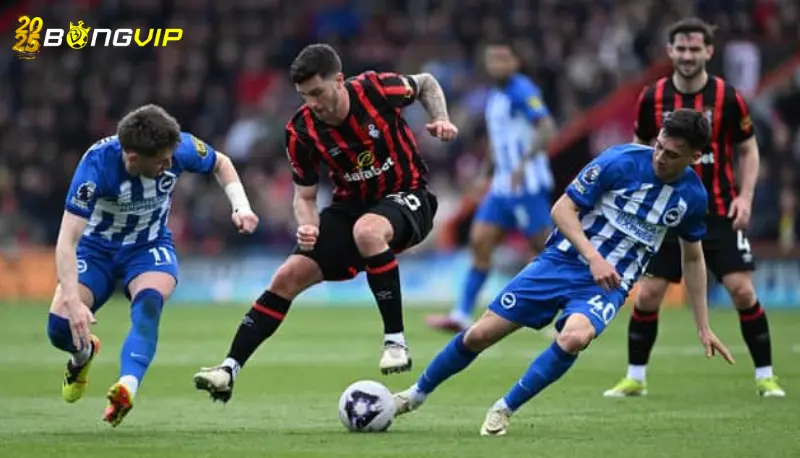 Dự đoán đội hình ở soi kèo Brighton vs Bournemouth