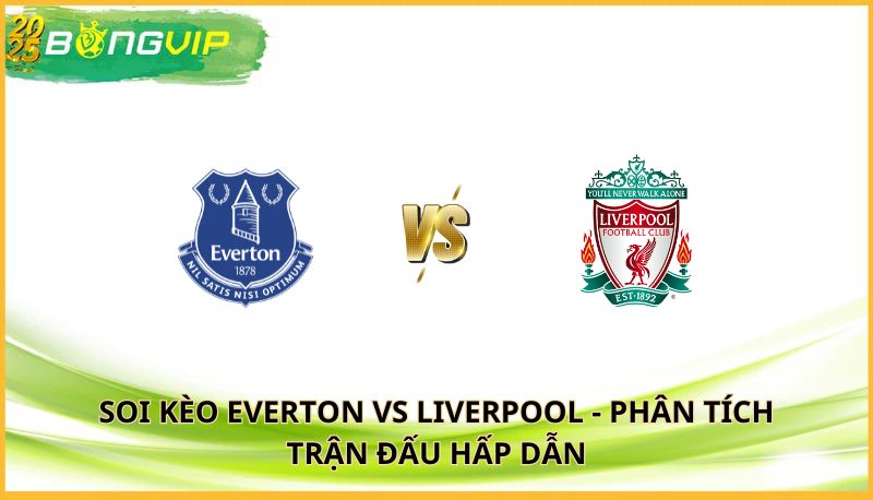 soi kèo Everton vs Liverpool