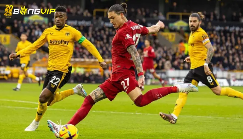 Phong độ Liverpool ở soi kèo Liverpool vs Wolves