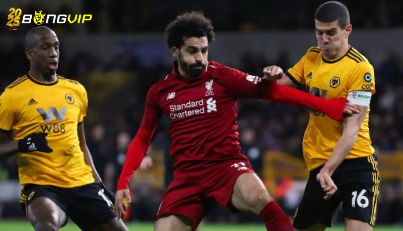 Phong độ Wolves ở soi kèo Liverpool vs Wolves