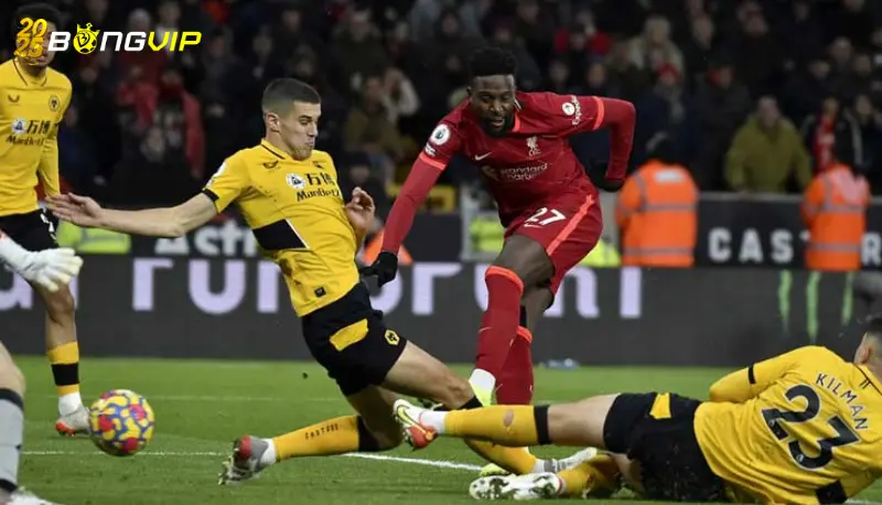 Đội hình ra sân tại soi kèo Liverpool vs Wolves