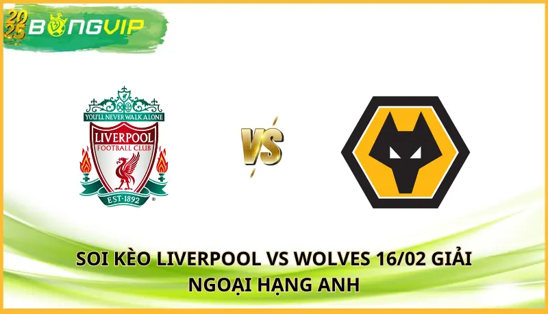 Soi kèo Liverpool vs Wolves