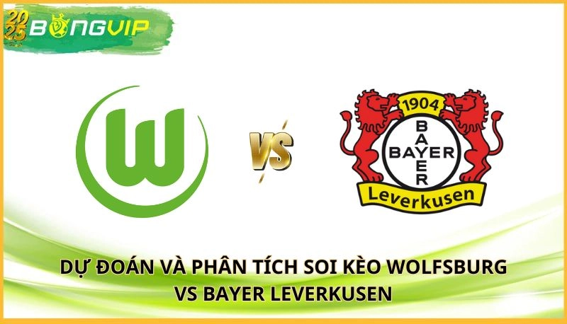 Soi kèo Wolfsburg vs Bayer Leverkusen