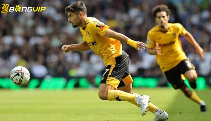 Dự đoán đội hình tại soi kèo Wolves vs Fulham