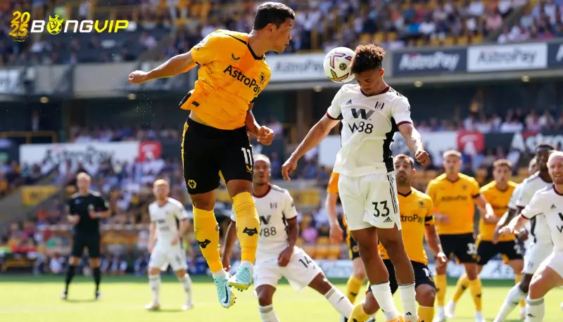 Phong độ Fulham trong soi kèo Wolves vs Fulham