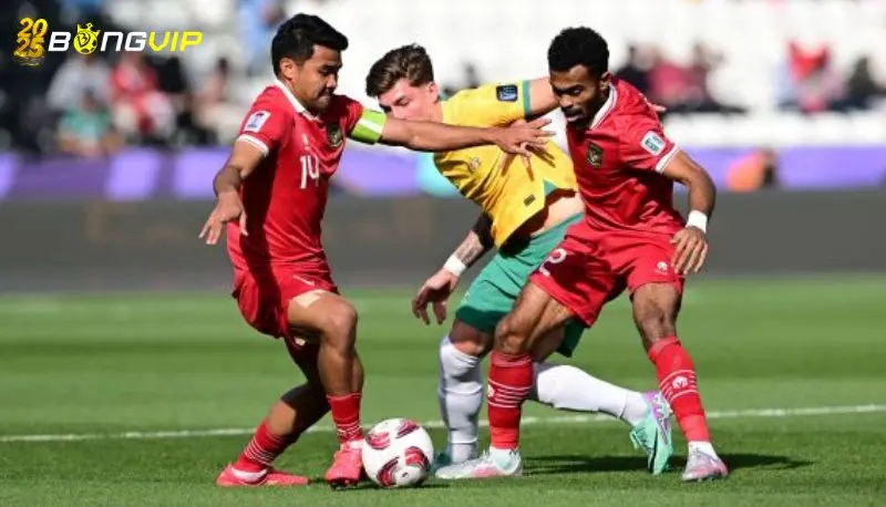 Phong độ Australia tại soi kèo Australia vs Indonesia